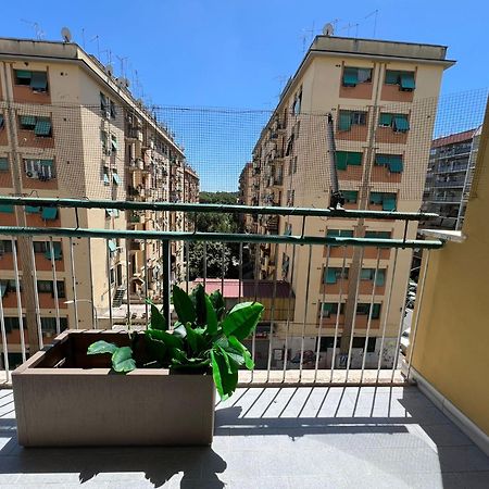Luciano Queen'S Guest House Roma Ngoại thất bức ảnh